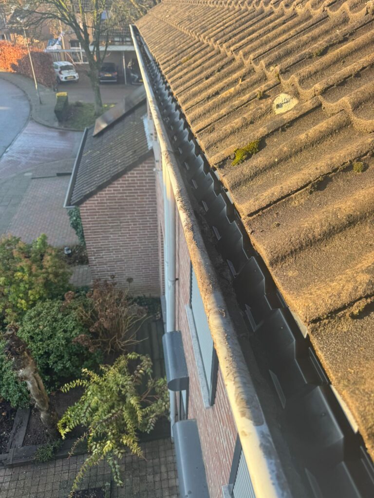 Vogelwering dakgoot Arnhem, Vogelwering dakgoot in Arnhem